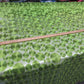 Lime Metallic Circles Lace Fabric  # ZS001