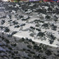 2 Colors, Black/White Embroidered lace with 3D Chiffon Flower SP17-050-D- 1