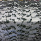 2 Colors, Black/White Embroidered lace with 3D Chiffon Flower SP17-050-D- 1